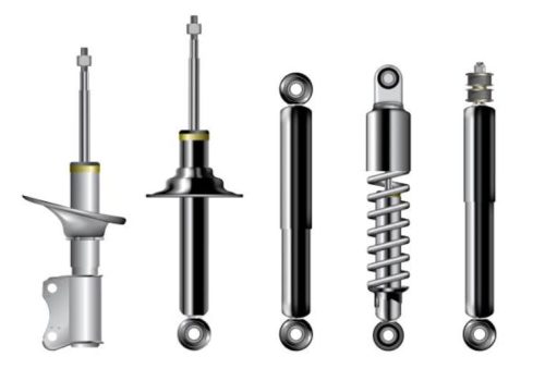 types of springs Scelerisque mauris pellentesque pulvinar
